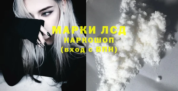 spice Богородицк