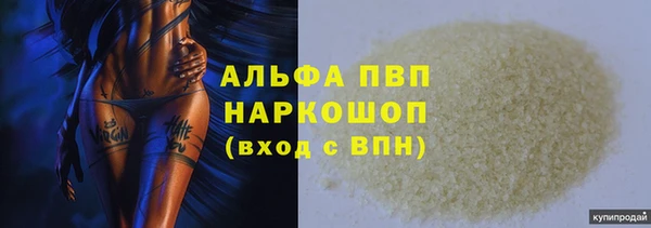spice Богородицк
