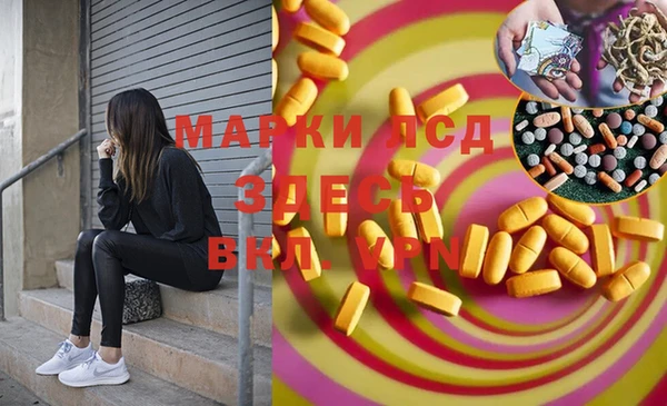 spice Богородицк