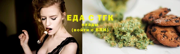 spice Богородицк