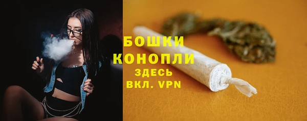apvp Богородск