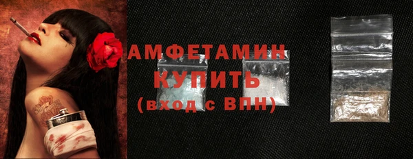 spice Богородицк