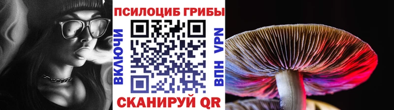 Псилоцибиновые грибы GOLDEN TEACHER  Купить  Руза 