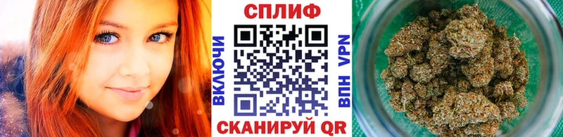 Купить закладки  Руза  Шишки марихуана VHQ 